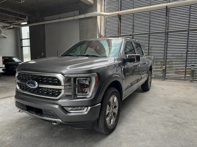 Ford LOBO 2023